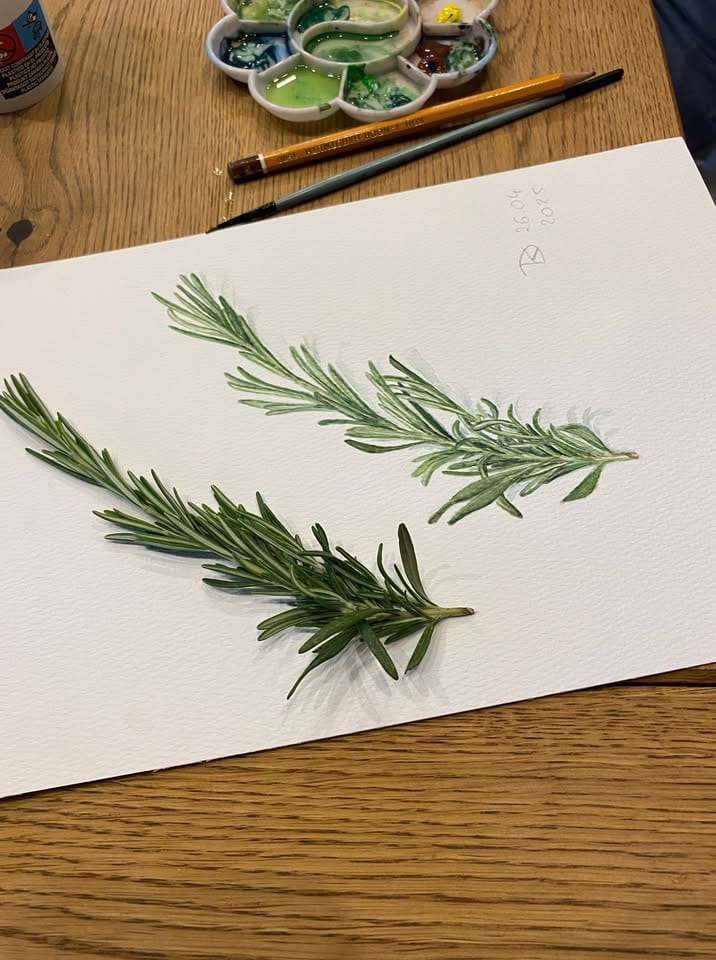 Warsztaty akwareli / zioła