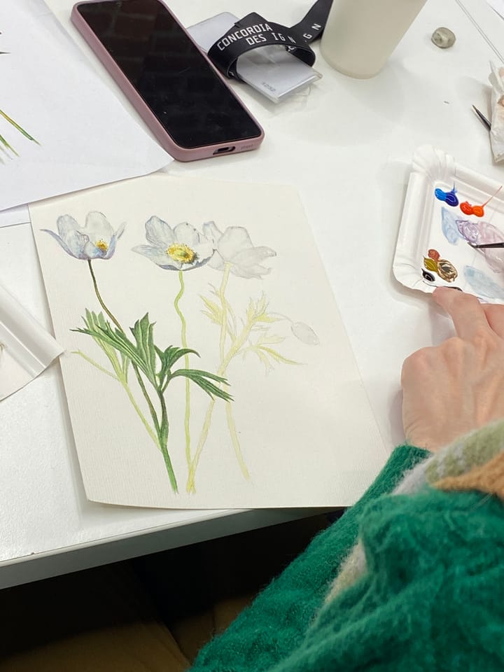 Warsztaty akwareli botanicznej / białe kwiaty